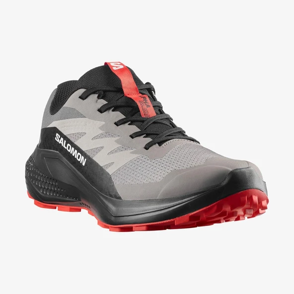 Salomon ALPHAGLIDE Erkek Ayakkabısı L48000800 ürün görseli 1