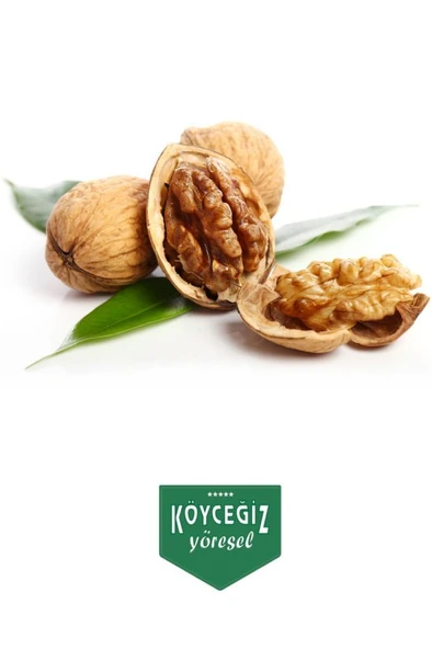 Kb Köyceğiz Yöresel Köyceğiz Cevizi 1 Kg ürün görseli 1