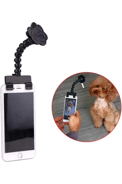 MultiZone Evcil Hayvan Fotoğraf Çekim Aparatı – Köpek ve Kedi İçin Kamera Dikkat Çekici Oyuncak Aparat ürün görseli 1