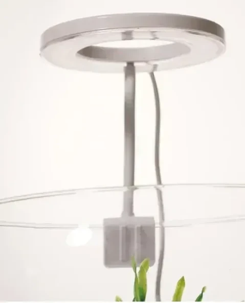 OrionLed Goosneck Fanus & Nano Akvaryum Led Aydınlatma Oval BEYAZ ürün görseli 1