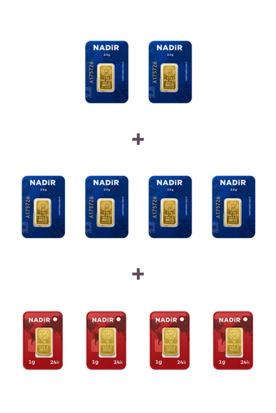 Nadir Gold 24 Ayar 19 Gram Külçe Altın (6 Adet 2,5 Gram Külçe Altın + 4 Adet 1 Gram Külçe Altın ) ürün görseli 1