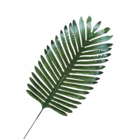 Yaprak Palmiye Modeli 35 cm 5'li ürün görseli 1