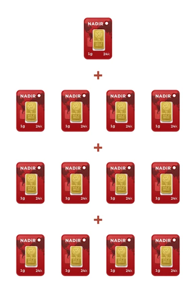 Nadir Gold 24 Ayar 13 Gram Külçe Altın (13 Adet 1 Gram Külçe Altın ) ürün görseli 1