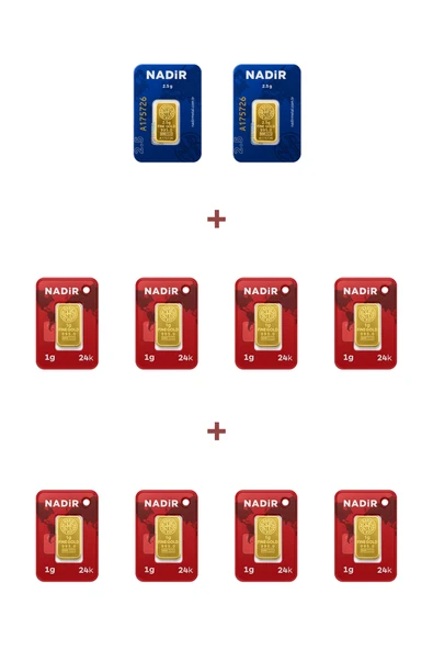 Nadir Gold 24 Ayar 13 Gram Külçe Altın (2 Adet 2,5 Gram Külçe Altın + 8 Adet 1 Gram Külçe Altın ) ürün görseli 1