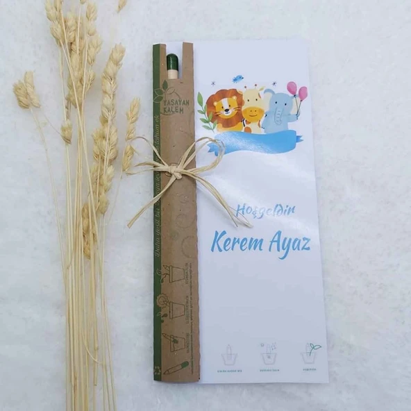 Tohum Kalemi Arkası Kağıtlı Bebek Hediyeliği Bebek Şekeri(20 Adet) ürün görseli 1