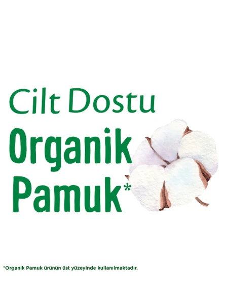 Molped Pure & Soft Cilt Dostu Ped Eko 32 Adet - Resim 2
