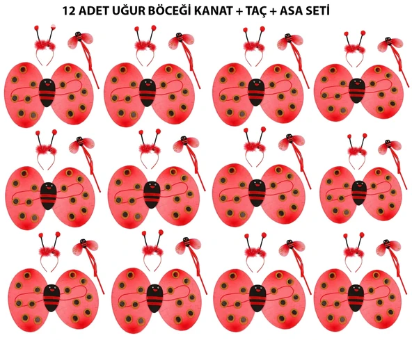 Uğur Böceği Kostüm Seti - Kanat, Taç, Asa 12 Adet ürün görseli 1