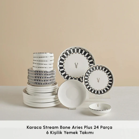 Karaca Stream Bone Aries Plus 24 Parça 6 Kişilik Yemek Takımı - Resim 3
