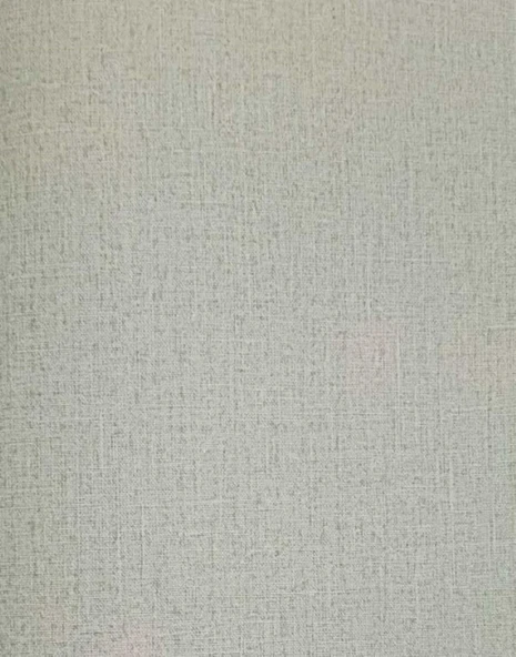 MAXWALL QUANTUM DUVAR KAĞIDI 11-004 (16.5m2) ürün görseli 1