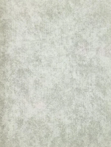 MAXWALL QUANTUM DUVAR KAĞIDI 6-001 (10m2) ürün görseli 1
