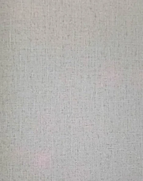 MAXWALL QUANTUM DUVAR KAĞIDI 11-005 (16.5m2) ürün görseli 1