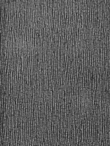 MAXWALL QUANTUM DUVAR KAĞIDI 8-003 (10m2) ürün görseli 1