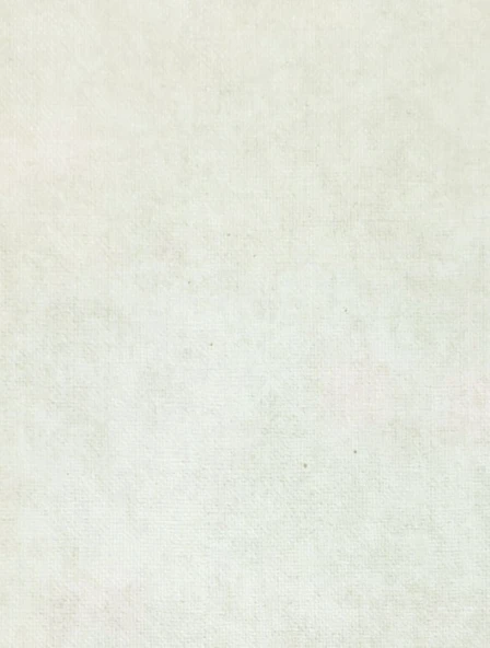 MAXWALL QUANTUM DUVAR KAĞIDI 6-004 (10m2) ürün görseli 1