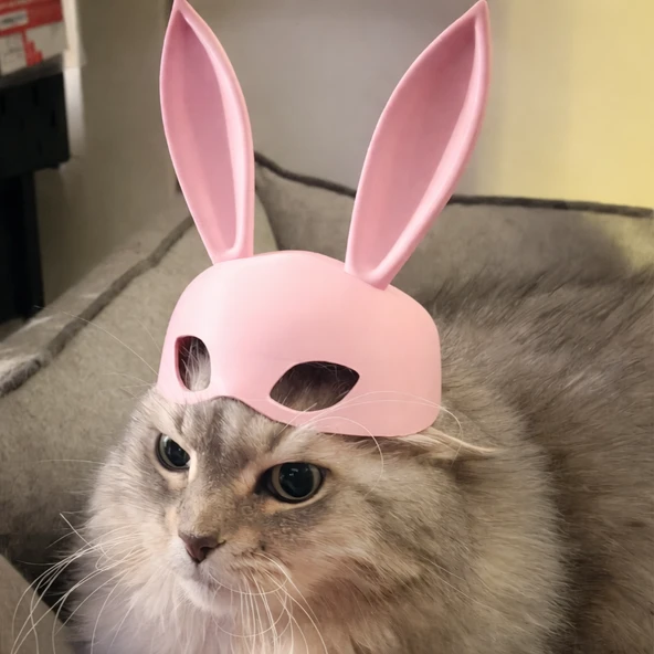 Tavşan Kulaklı Kedi Maskesi | 3D Baskı Sevimli Pet Fotoğraf Aksesuarı ürün görseli 1