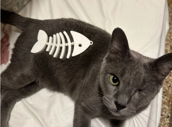 Kedi Oyuncağı Balık Kılçığı – 3D Baskı Interaktif Kedi Oyuncağı (Cat Toy) ürün görseli 1
