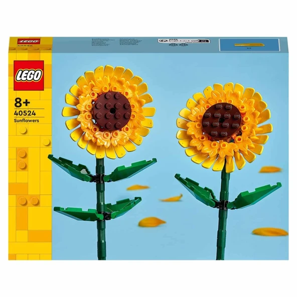 Iconic Ayçiçeği 40524 - Resim 3