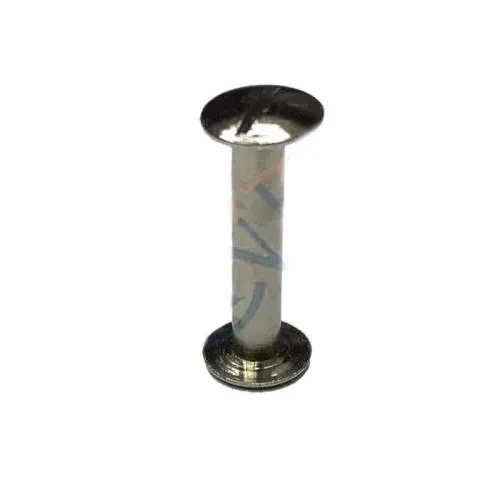 Cilt Menü, Katalog, Kartela Vidası, 20 Mm - Nikel, 1 Adet ürün görseli 1