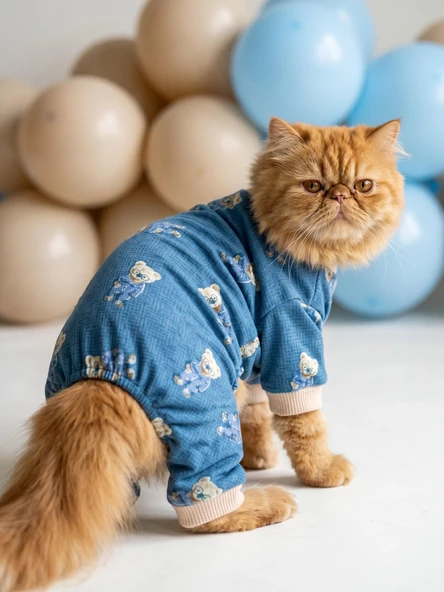 Teddy Blues Penye Kedi Tulumu | Ayıcık Desenli Kedi Pijaması | Küçük Irklar İçin ürün görseli 1