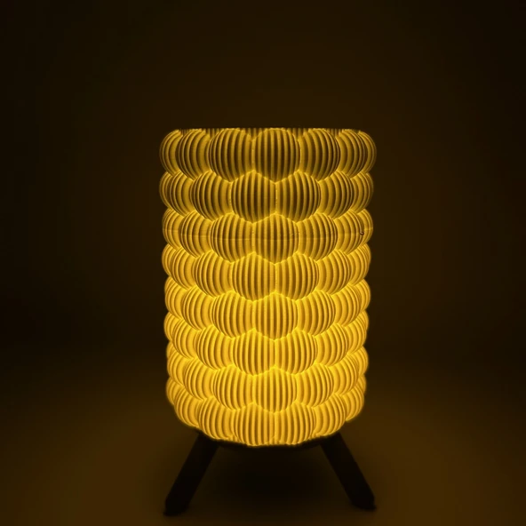 LumiPetal 3D Baskı LED Abajur | Dekoratif Gece Lambası | Modern Ortam Işığı | Şık Tasarım Masa Lamba ürün görseli 1