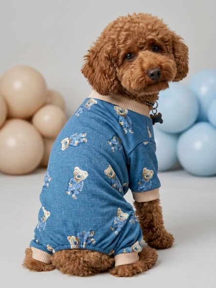 Teddy Blues Penye Köpek Tulumu | Ayıcık Desenli Köpek Pijaması | Küçük Irklar İçin ürün görseli 1