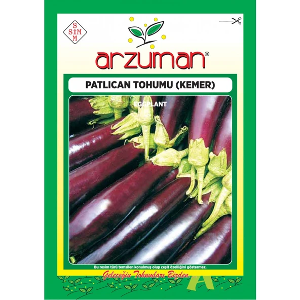 Patlıcan Tohumu Kemer 10 gr ürün görseli 1