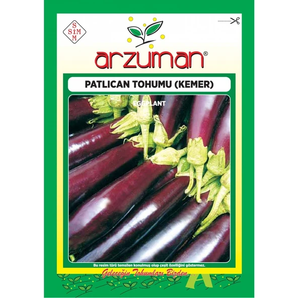 Patlıcan Tohumu (10 Gr) Kemer-27 ürün görseli 1