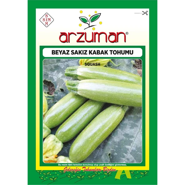 Beyaz Sakız Kabak Tohumu 10 Gram ürün görseli 1