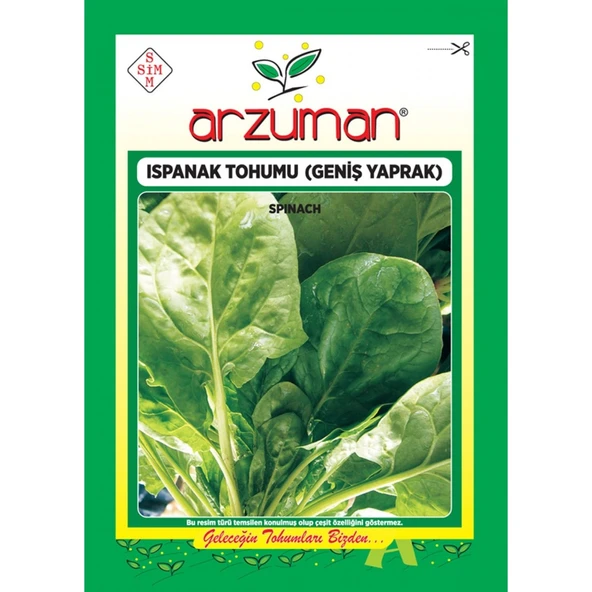 Ispanak Tohumu Ithal (Matador Çeşidi) 25 gr ürün görseli 1