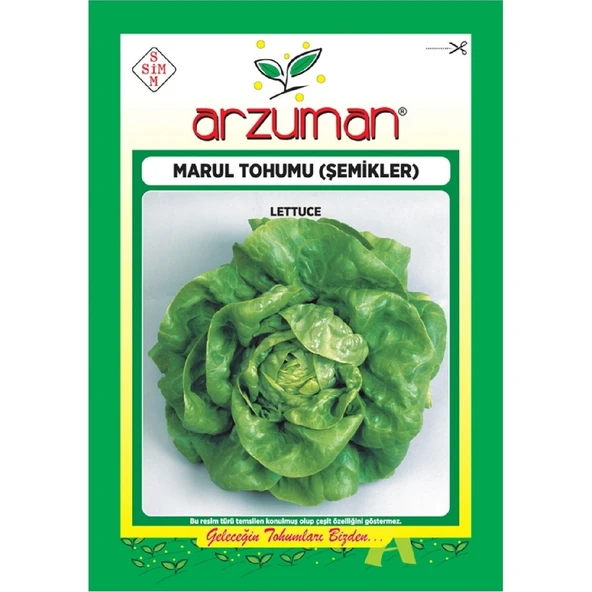 Marul Tohumu - Şemikler - (10 Gr) ürün görseli 1