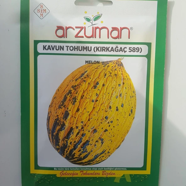 Kavun Tohumları - Resim 2