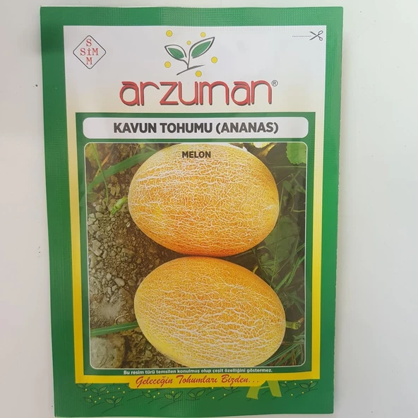 Kavun Tohumları - Resim 4