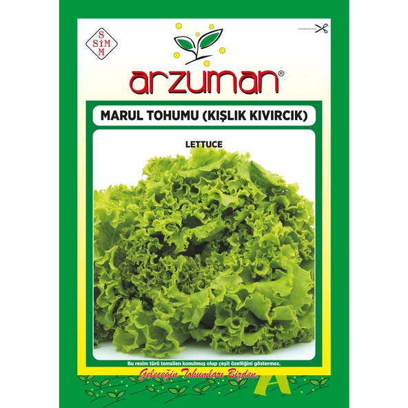 Kışlık Kıvırcık Marul Tohumu 10 Gram ürün görseli 1
