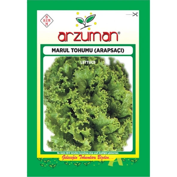 Marul Tohumu - Arapsaçı (10 Gr) ürün görseli 1