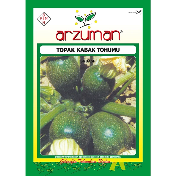 Topak Kabak Tohumu 10 Gram ürün görseli 1