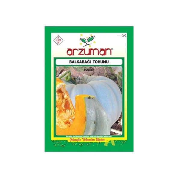 Arıcan 97 Balkabağı Tohumu - Resim 2