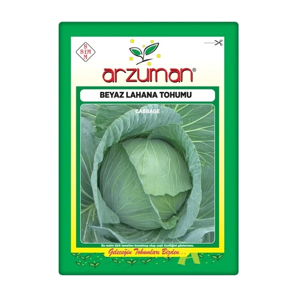 Lahana Tohumu (10 Gr) Beyaz Lahana ürün görseli 1