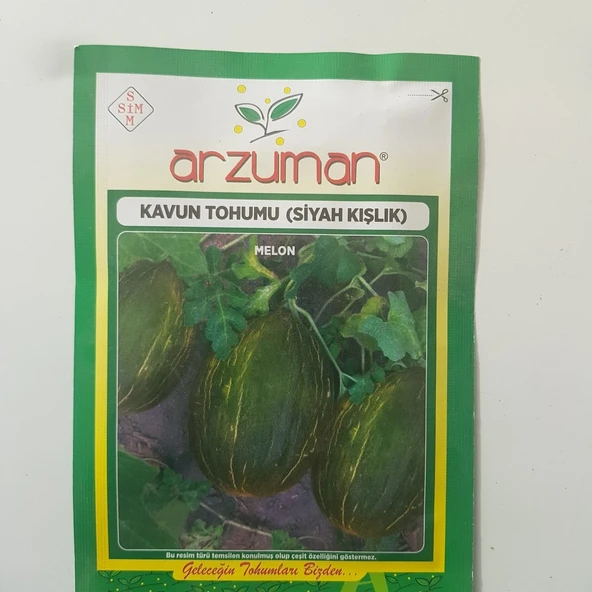 Kavun Tohumları - Resim 3