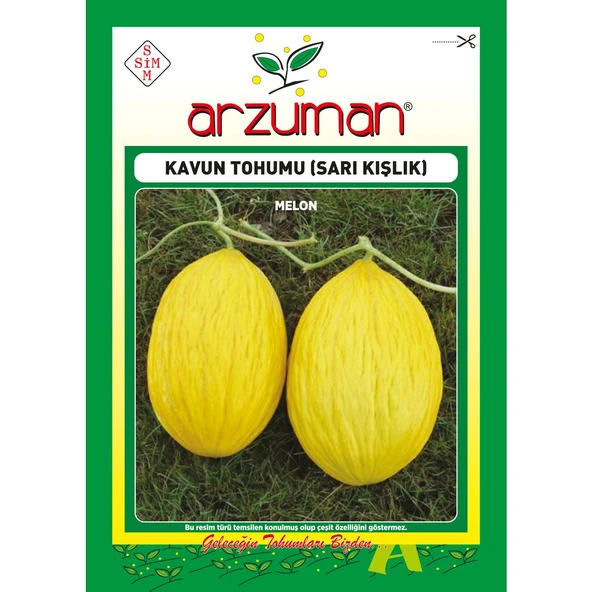 Sarı Kışlık Kavun Tohumu 10 Gram ürün görseli 1