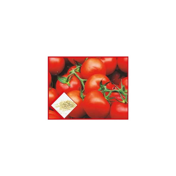 Sebze Chery Pinpon Domates Tohumu - Resim 2