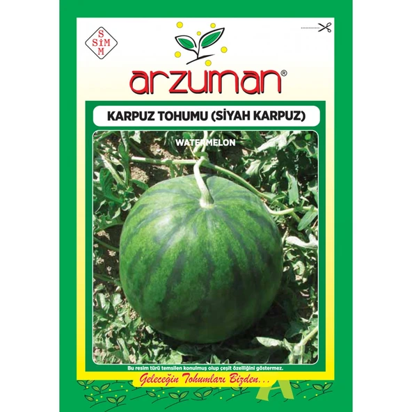Siyah Karpuz Tohumu 10 G ürün görseli 1