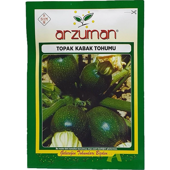 Topak Kabak Tohumu 10 Gram ürün görseli 1