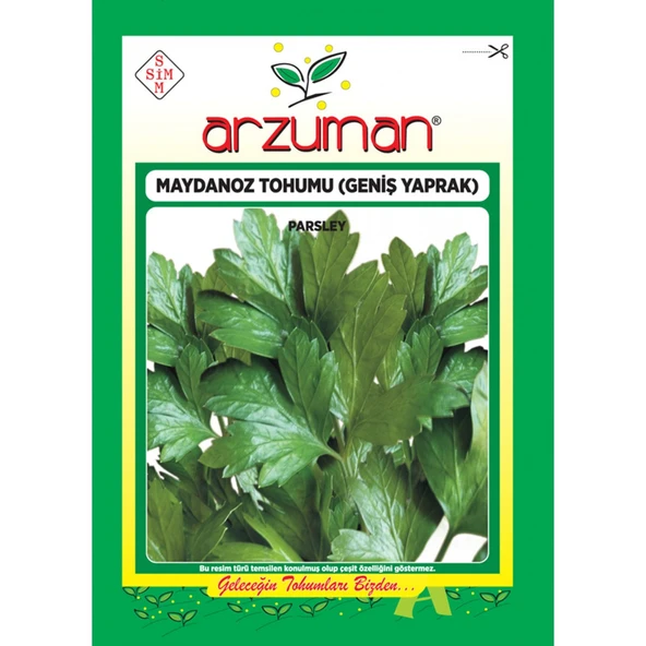 MAYDANOZ TOHUMU GENİŞ YAPRAK(25gr) ürün görseli 1
