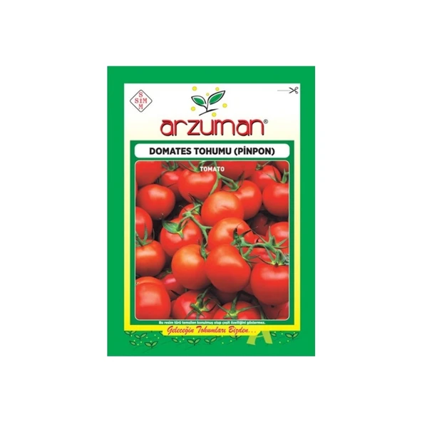 Sebze Chery Pinpon Domates Tohumu - Resim 3