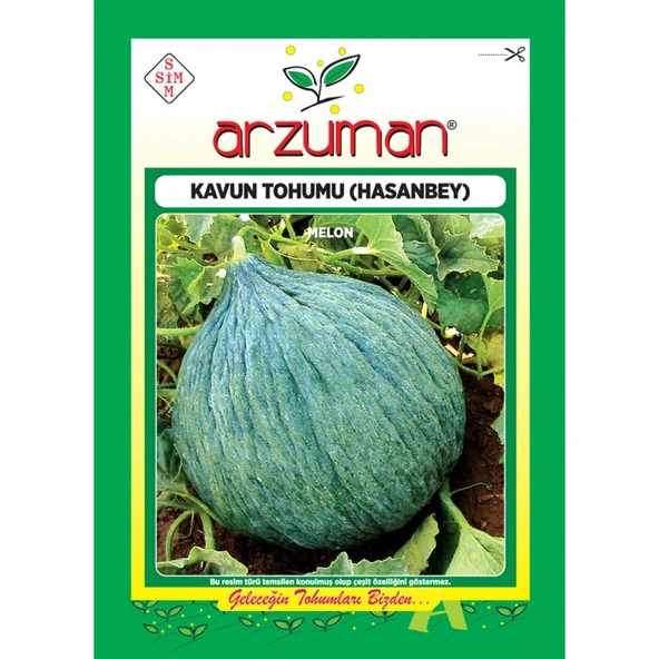 Hasanbey Kavun Tohumu (10 Gr) ürün görseli 1