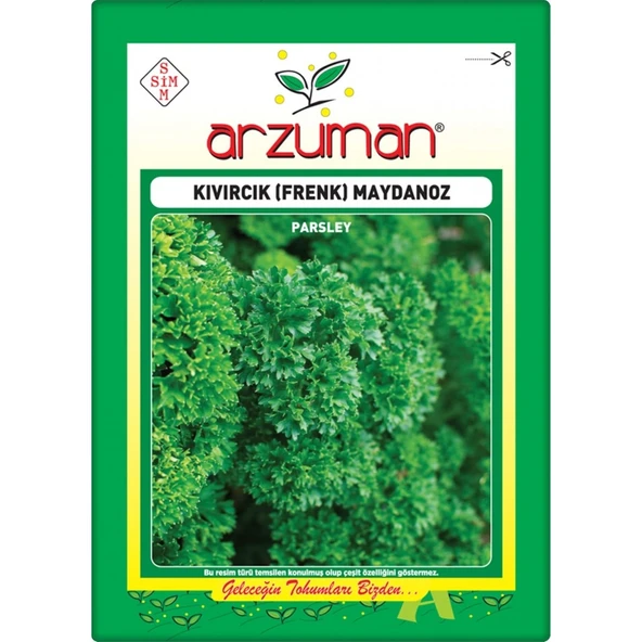 Kıvırcık Maydanoz (Frenk Maydanoz) 10 gr ürün görseli 1