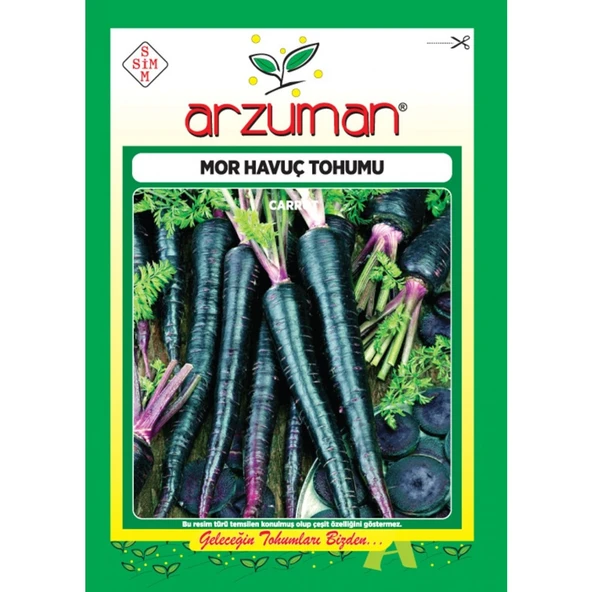 Mor Havuç Tohumu (5 Gr) ürün görseli 1
