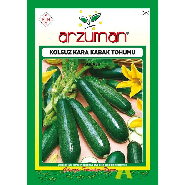 Siyah Kabak Tohumu 10 Gram ürün görseli 1