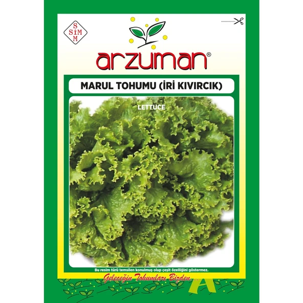 Iri Kıvırcık Marul Tohumu 10 Gram ürün görseli 1