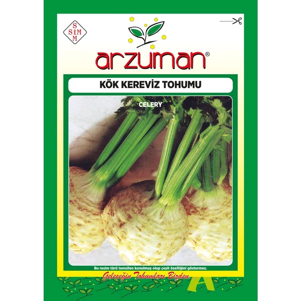 Kök Kereviz Tohumu 10 Gram ürün görseli 1