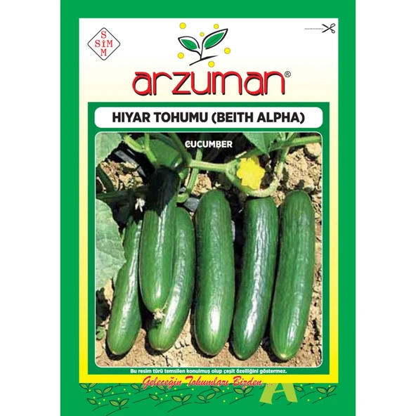 Salatalık Hıyar Tohum Beith Alpha 10 gr ürün görseli 1